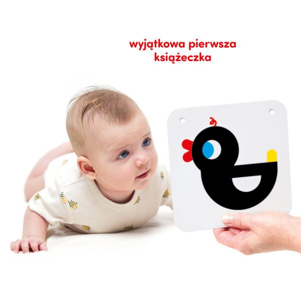 Duże karty kontrastowe </br> dla dzieci 0 i 3 mies.+